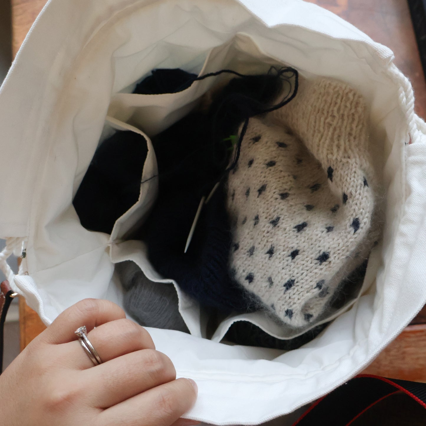 Winter Large Project Bag