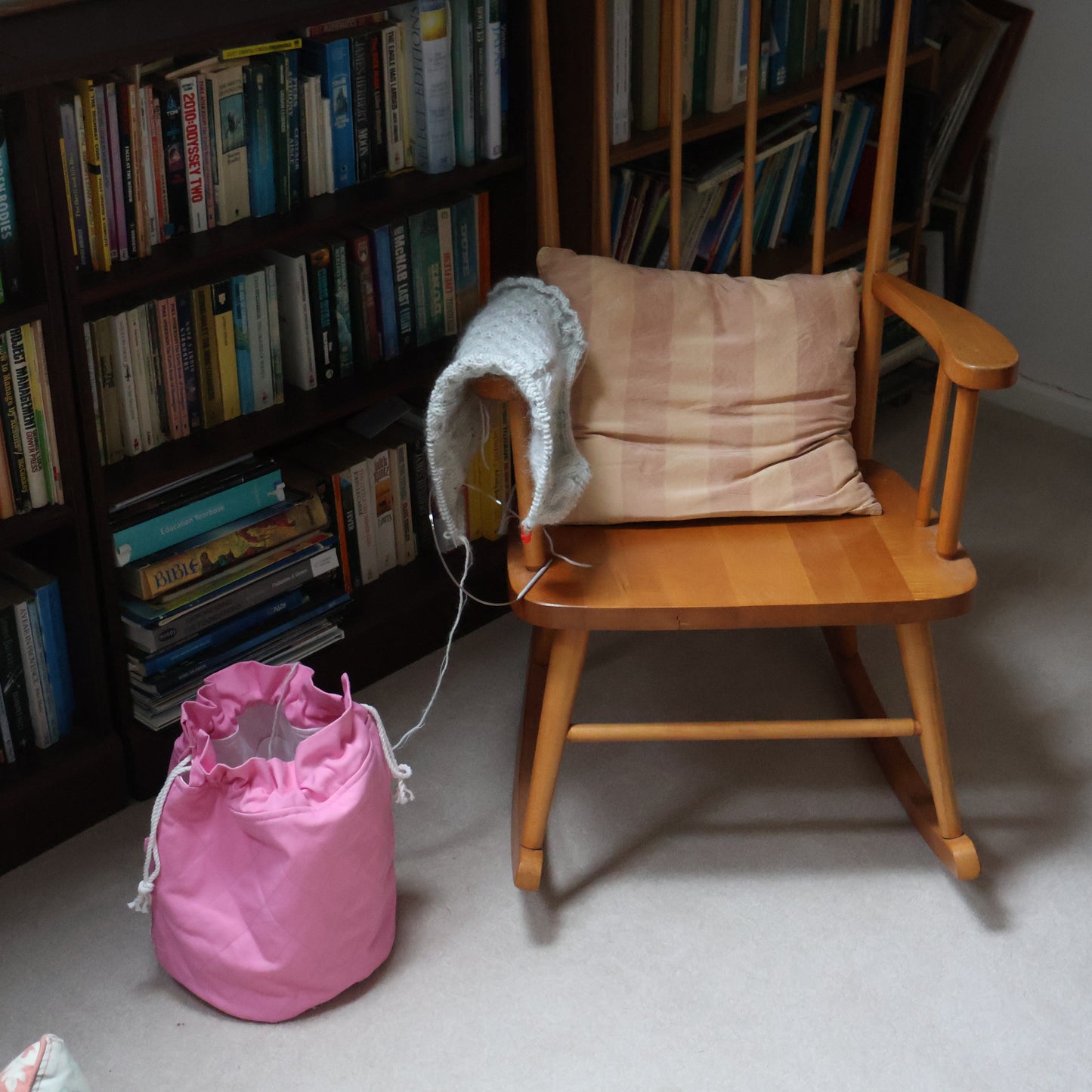 Flamingo Pink Large Project Bag